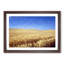 Field of Wheat in Kansas - Picture Frame Graphic Art Print-55731179-55731180