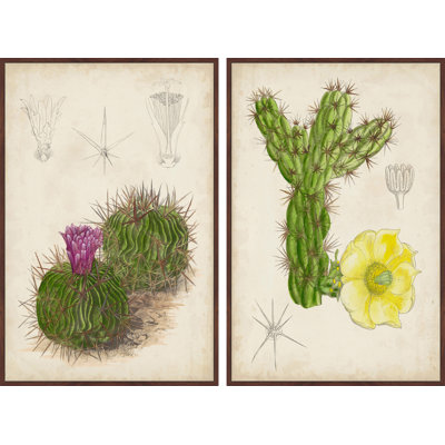 " Antique Cactus III " 2 - Pieces