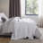 Bedsure Quilt Set for Dorm Decor, Lightweight All-Season Comforter, Bedspread Coverlet with Clover Pattern-110437359-122946556