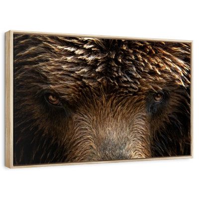 Yeux de grizzly