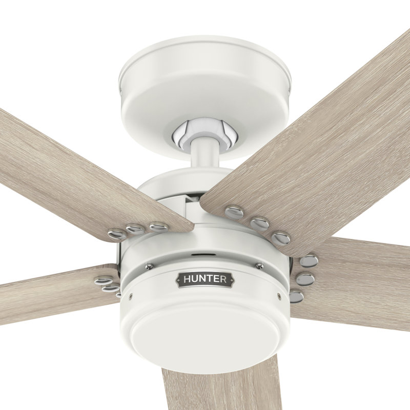 52" Burton 5-Blade Standard Ceiling Fan with Wall Control
