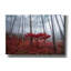 Art mural sur toile Millwood Pines-904098775