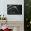 No Frame Print on Canvas-348800854