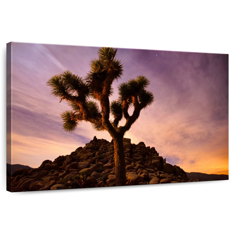 Harnek Dusky Joshua Tree, 34" H x 51" W