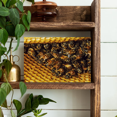 1980s HONEY BEE HIVE by H. Armstrong Roberts - Wrapped Canvas Print