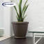 Cache pot-131238075
