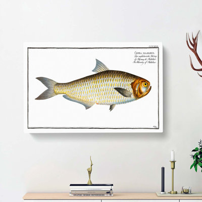 Herring Fish by M.E. Bloch - Wrapped Canvas
