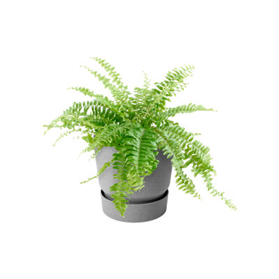 Balcony Planter