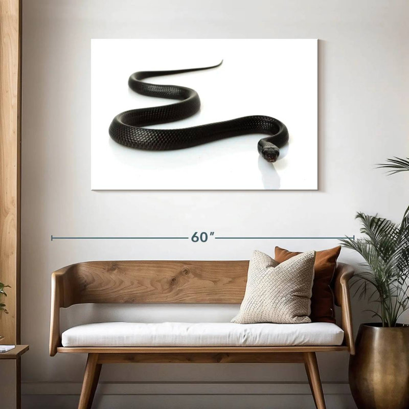 Brampt Eastern Indigo Snake, 30" H x 45" W