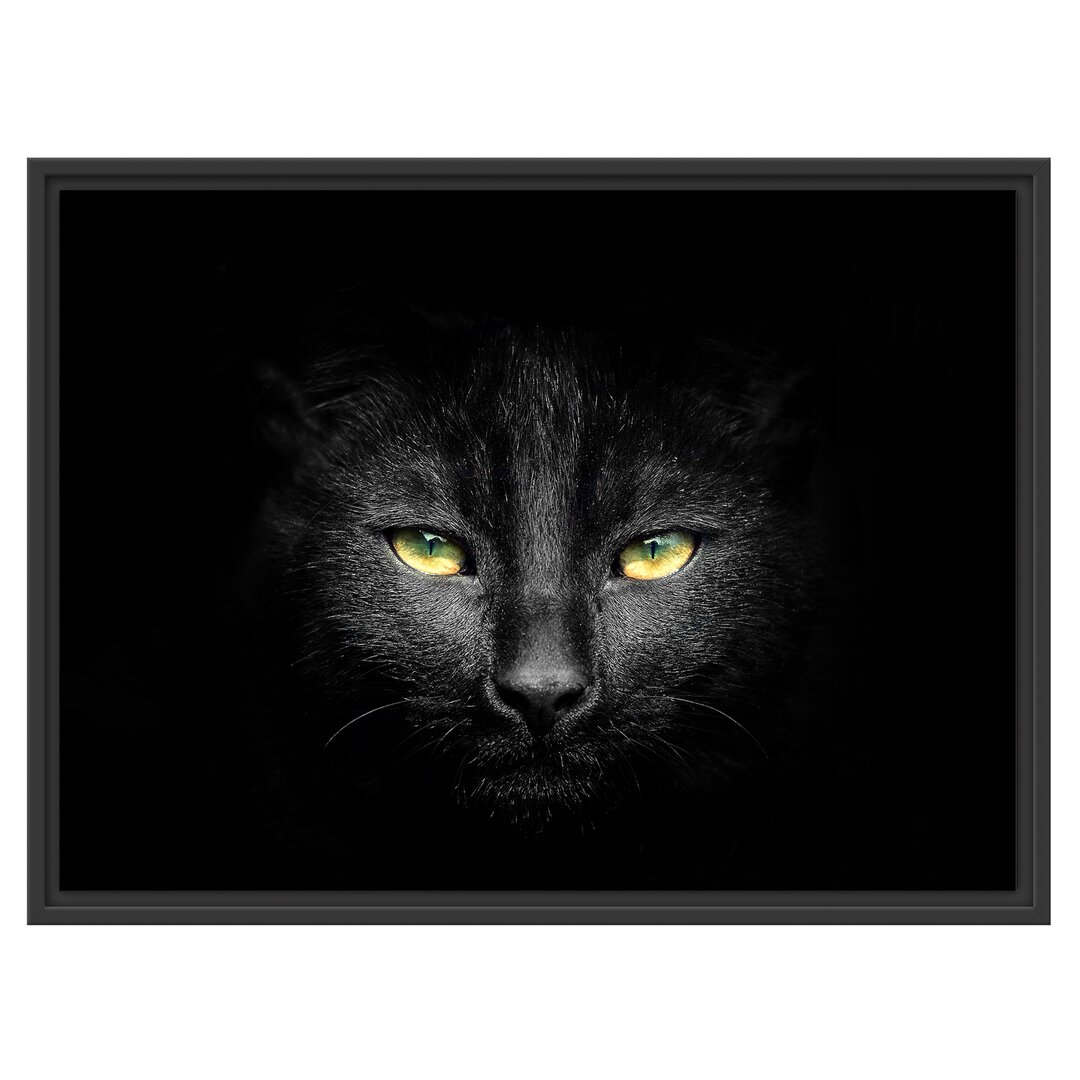 Gerahmtes Wandbild Dark schwarzes Katzengesicht