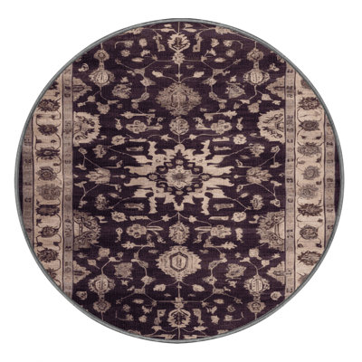 Machine Washable Overdyed Brown Area Rug