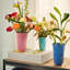 Pot en porcelaine Rhombe-891434463