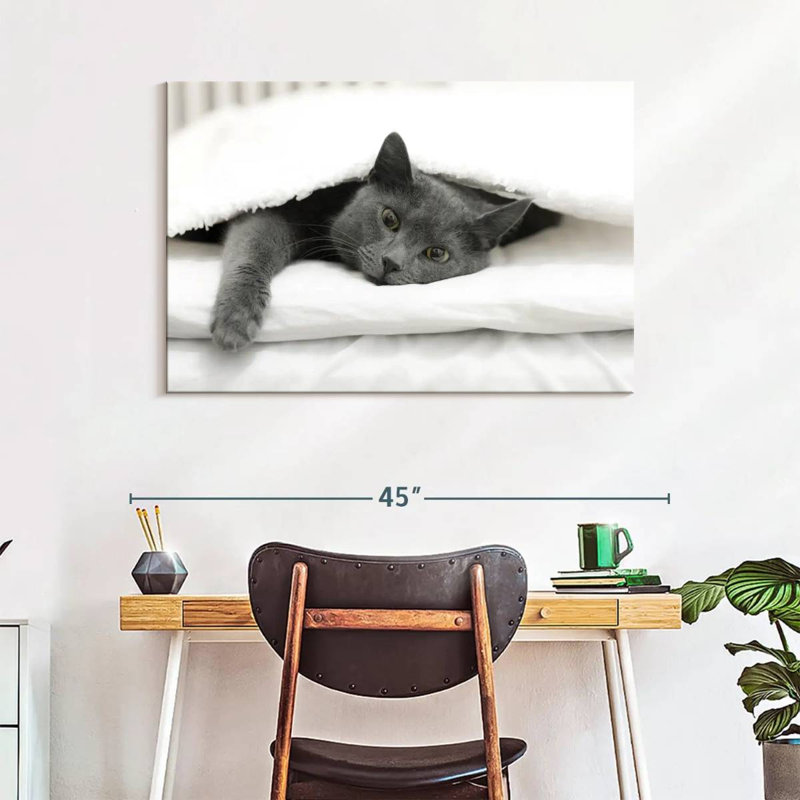 Brampt Lazy Cat, 26" H x 39" W