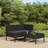 Ingi 3 Piece Lounge Chair with Cushions-1618152838-1618152836