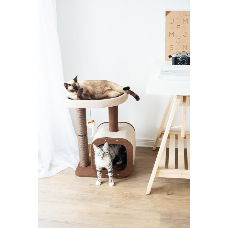 Arbre à chat 23 po avec maison et poteau à griffes Catry