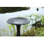 Bain d'oiseaux Onalaska-463971651