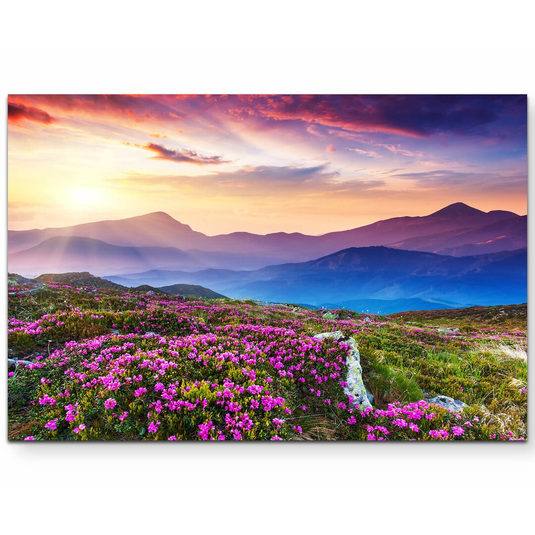 Leinwandbild Pinke Rhododendren in den Karpaten