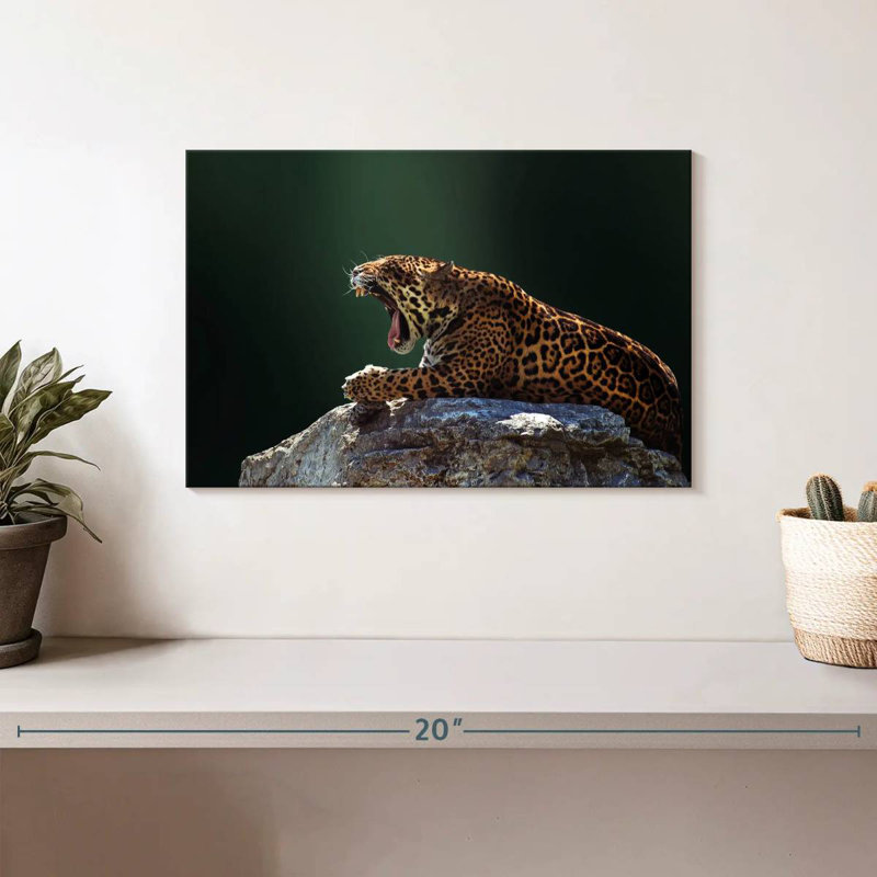 Brampt Feisty Jaguar, 8" H x 12" W