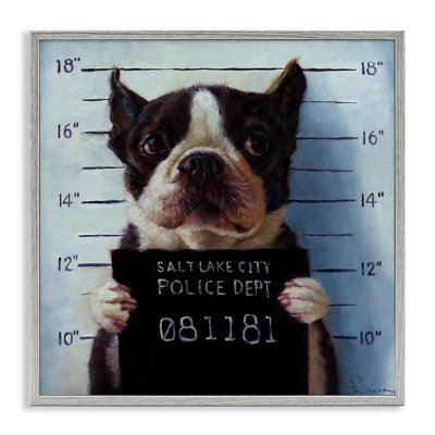 Drôle de Boston Terrier, prisonnier de police par Lucia Heffernan