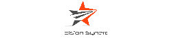 Precision Synergie logo