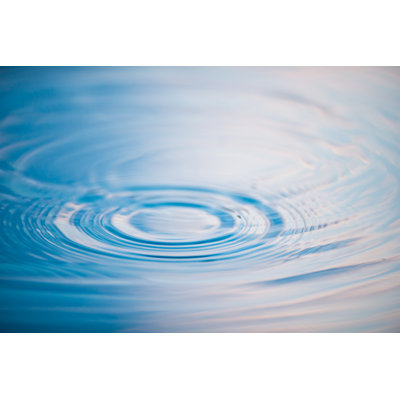 Water by Casarsa - Wrapped Canvas Print