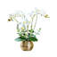 Arrangement