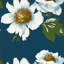Paeonia Wallpaper-68984599
