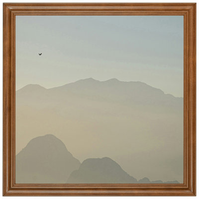 24x24 Picture Frame Brown Value Added Style 75022-308 , 1.25 Inch MDF Moulding , Includes Acrylic and Backing , Wall Display Frame for Art, Posters, or Photos 