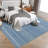 Rugs for Living Room Washable Rug Non-Slip Low Pile Accent Carpet Modern Abstract Carpet for Kitchen Entryways-946061834-946061825