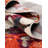 Wrought Studio Ansela Rug-966008146