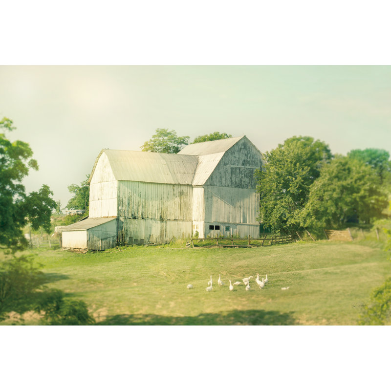 Farm Morning III 1 Piece Wrapped Canvas Wall Art, 30cm H x 46cm W