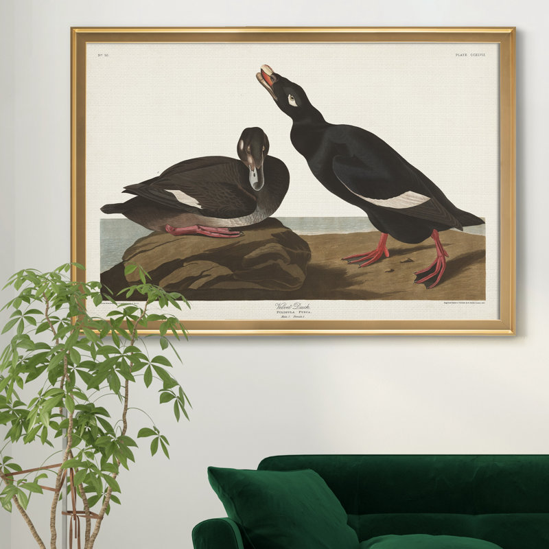 Velvet Duck - reproduction de cadre photo sur toile, H 26,5 po x l 36,5 po x P 1,5 po, Doré