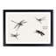 Four Dragonflies by Morimoto Toko - Picture Frame Painting Print-55724307-55724306