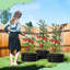 3 lits de jardin surélevés galvanisés ronds avec cages à tomates 24 x 24 x 12 po, boîte à fleurs en métal pour plantes-1095959826