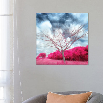 Pygmybirch by Glauco Meneghelli - Wrapped Canvas Painting