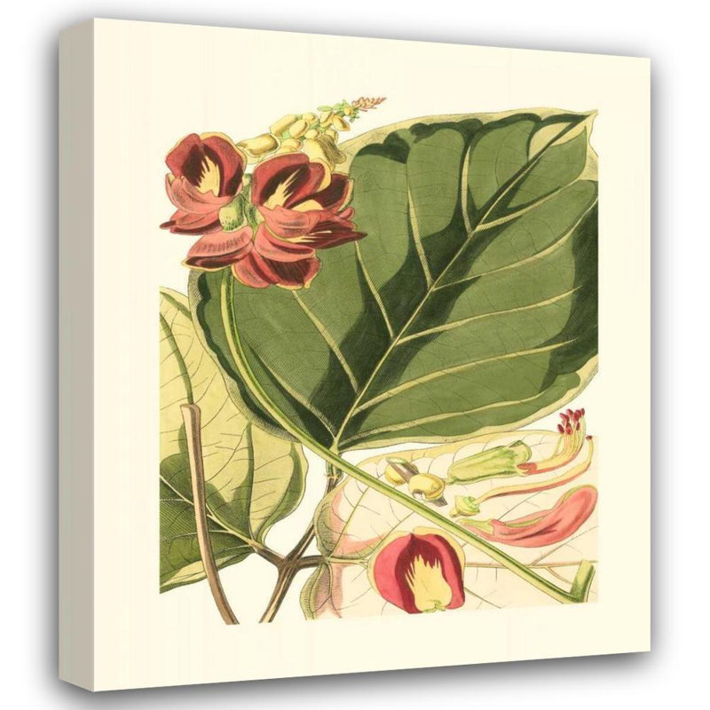 Art sur toile tendue Lark Manor ™ Vision Studio Gallery: Fantastical Botanical I, H 43 po x l 36 po