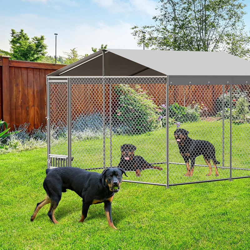 Niche pour chien d'extérieur avec auvent imperméable