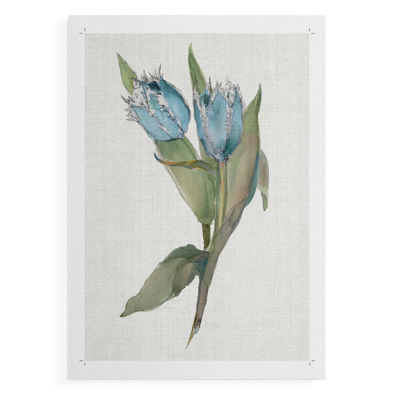 Blue Tulip Picks II - impression sur toile seulement - non encadrée, H 27 po x l 18 po