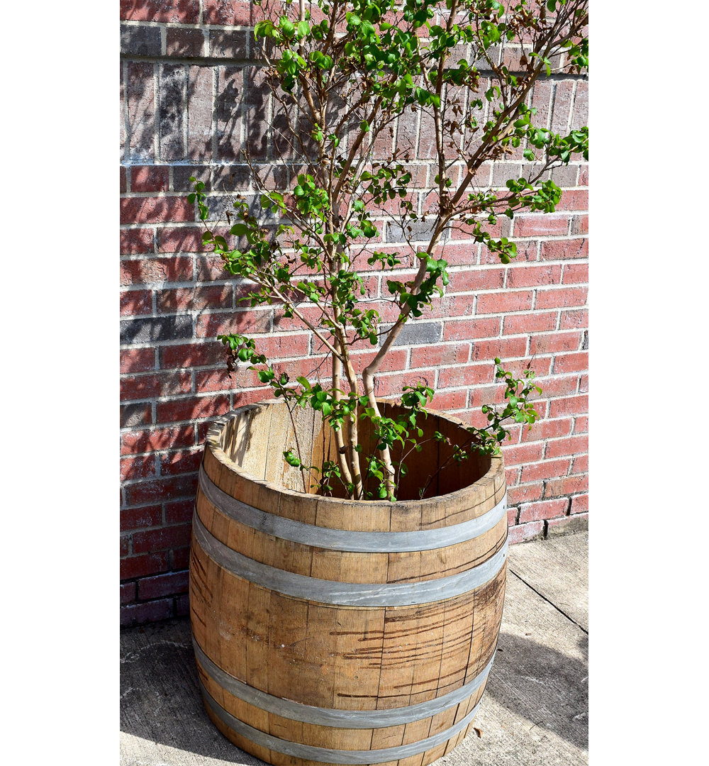 Wood Barrel Planter MGP