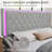 Velvet Bed Frame with 2 Drawers, Upholstered Headboard, LED Footboard and Side Pockets-289301924-289298383