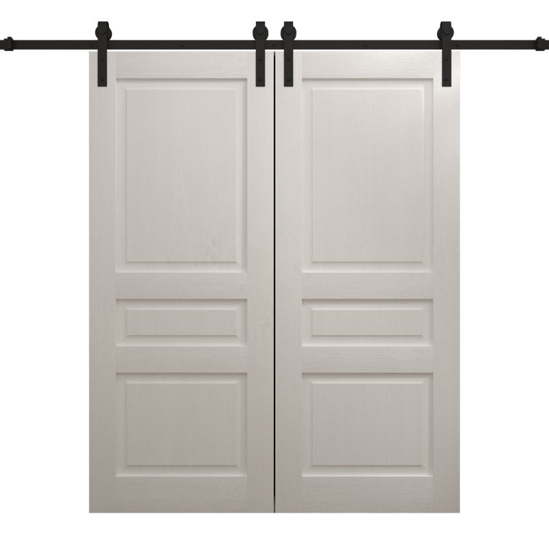 Porte de grange double moderne | Ego 5012 | Ensemble de rail | Portes intérieures solides, Chêne blanc peint, 56 po x 84 po