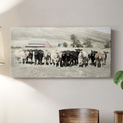 Cattle Ranch- Gallery Wrapped Canvas -Ready to Hang