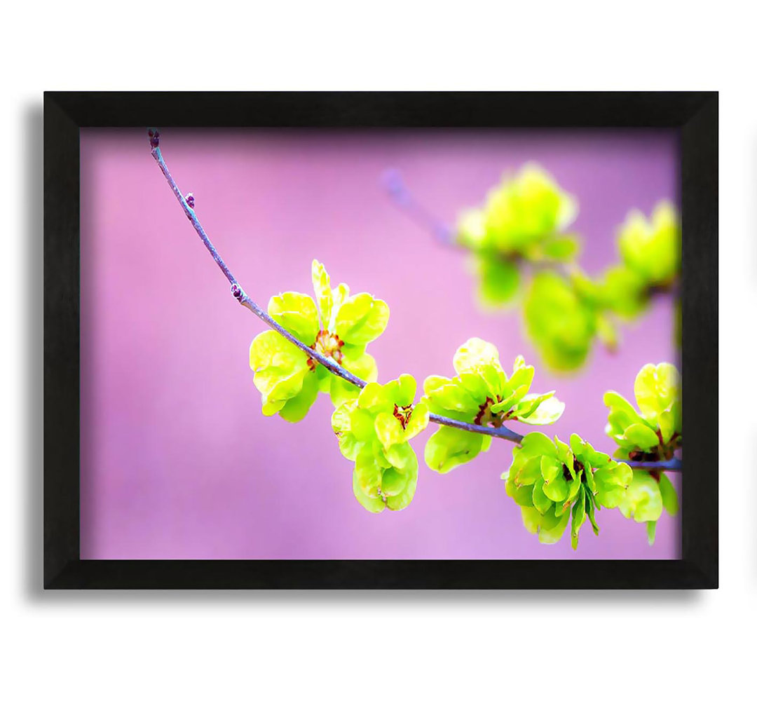 Gerahmtes Leinwandbild Small Green Flowers