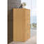 23.6 " Wide Storage Cabinet with