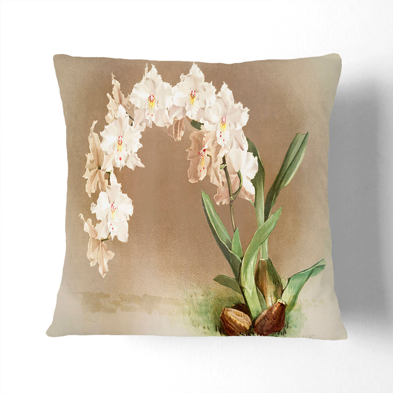Square Throw Cushion, Stone, 55cm H x 55cm W x 20cm D
