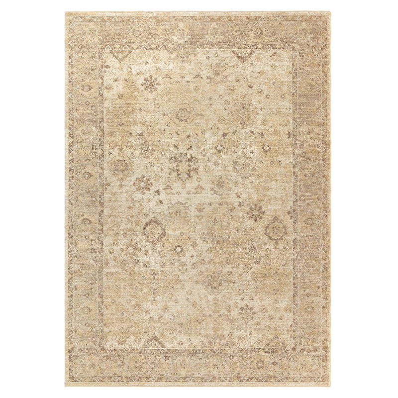 Madeleine Vintage Beige Area Rug, Rectangle 200 x 300 cm
