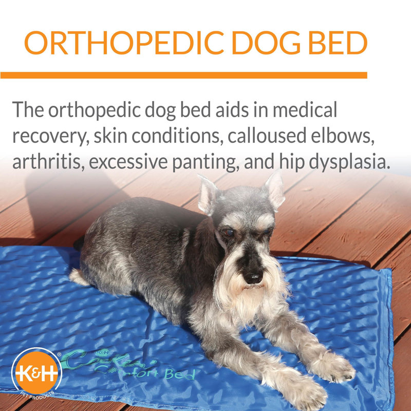 Brahin Paisley Orthopedic Memory Foam Pet Bed, Small (17" W x 24" D x 1.5" H)