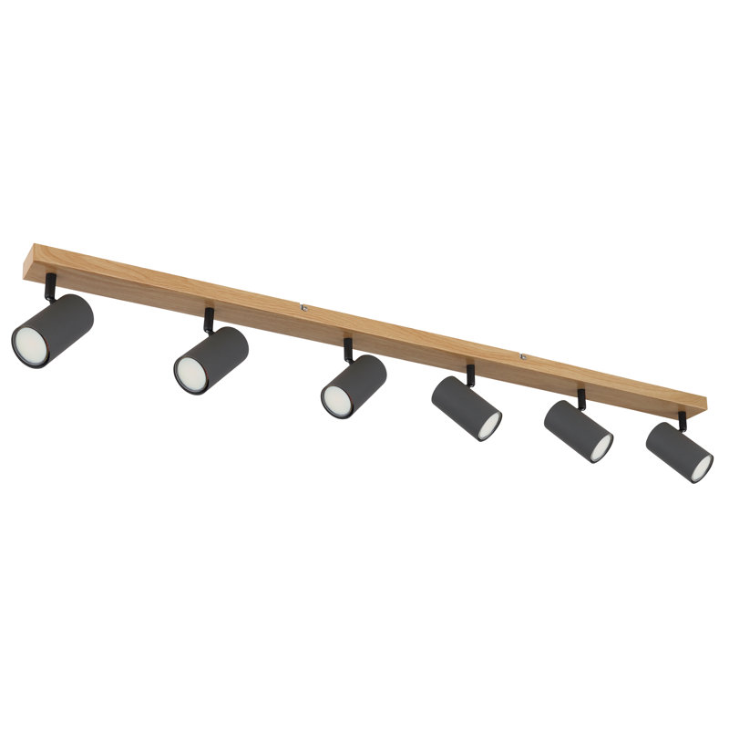 Spotlight, Walnut