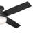 Ceiling Fan with LED Lights-84707498