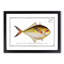 Green Mackerel Fish by M.E. Bloch - Picture Frame Painting Print-55609064-55609061